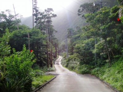 2009-9-6 003.jpg