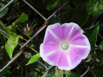 2009-9-8 003.jpg