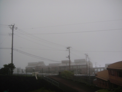 2009-9-8 011.jpg