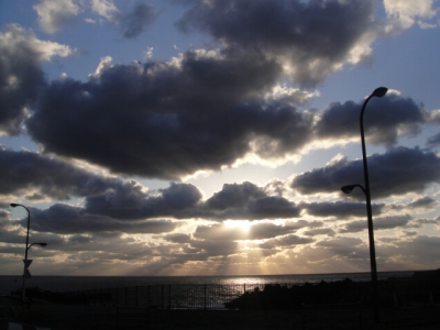 2010-1-13 008.jpg