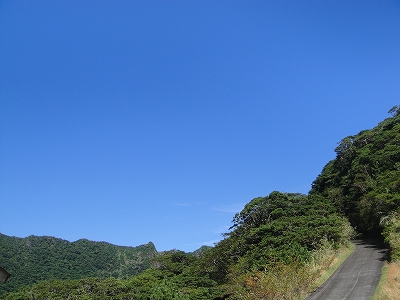 2010-10-7 012.jpg