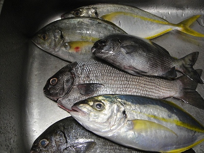 2010-10-7 025.jpg