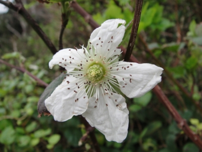 2010-2-17 002.jpg