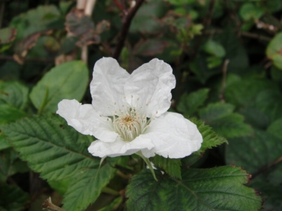 2010-2-17 003.jpg