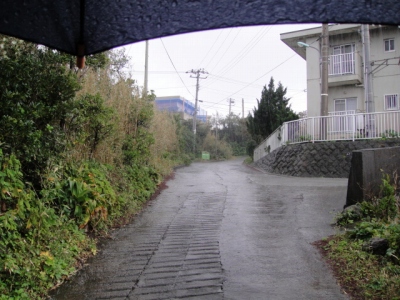 2010-2-17 007.jpg