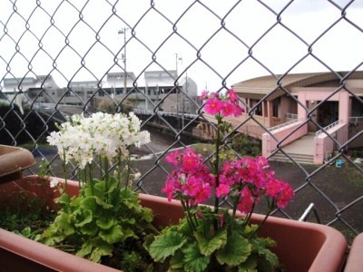 2010-2-17 020.jpg