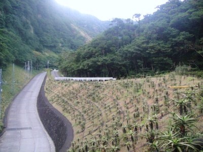 2010-2-28 007.jpg