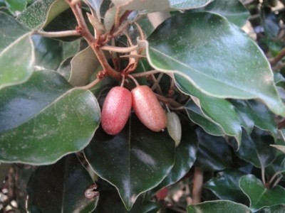 2010-2-28 016.jpg