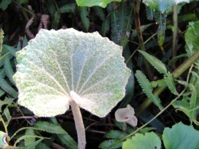 2010-2-8 017.jpg
