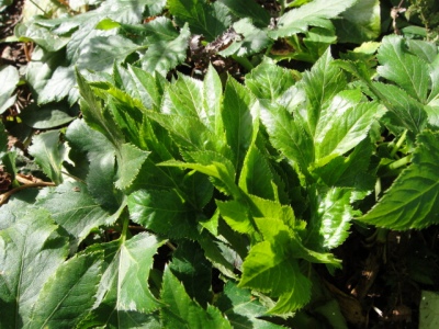 2010-2-8 019.jpg