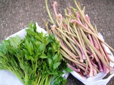 2010-2-8 024.jpg