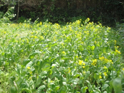 2010-3-10 006.jpg