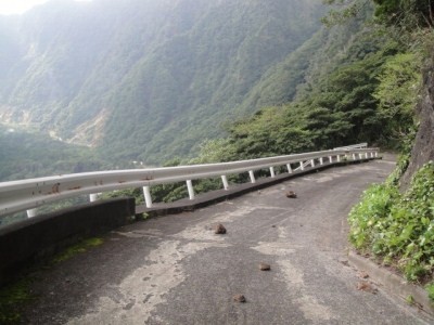 2010-3-11 002.jpg