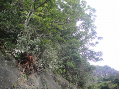 2010-3-11 003.jpg