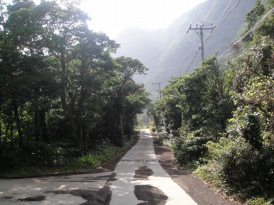 2010-3-11 004.jpg