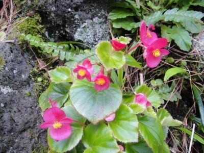 2010-3-11 010.jpg