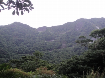 2010-3-11 016.jpg