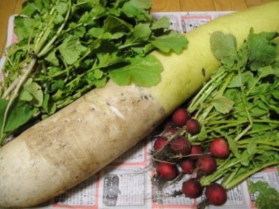 2010-3-11 017.jpg