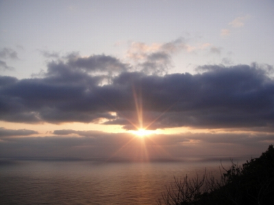 2010-3-1 001.jpg