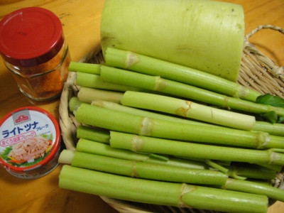 2010-3-12 003.jpg