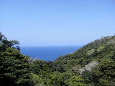2010-3-22 037.jpg