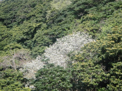 2010-3-22 038.jpg