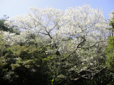 2010-3-22 039.jpg