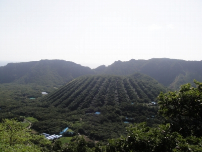 2010-3-22 048.jpg