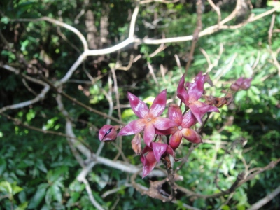 2010-3-22 062.jpg