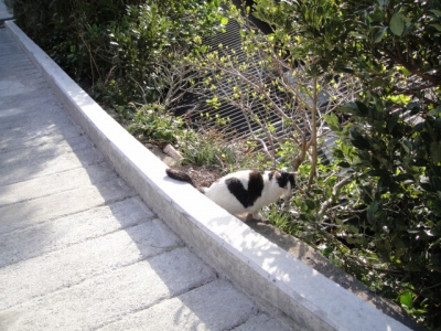 2010-3-22 079.jpg