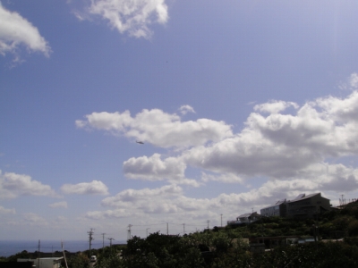 2010-3-30 066.jpg