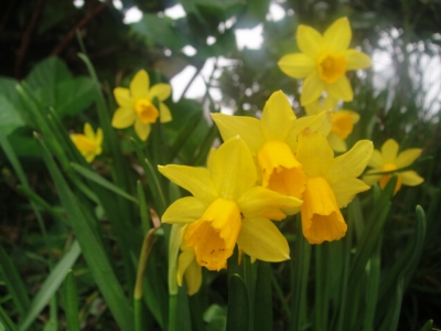 2010-3-6 048.jpg
