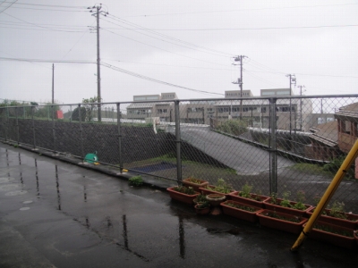 2010-3-9 017.jpg