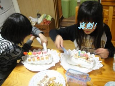 2010-4-11 009.jpg