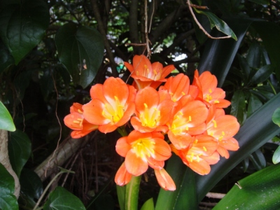 2010-4-11 032.jpg