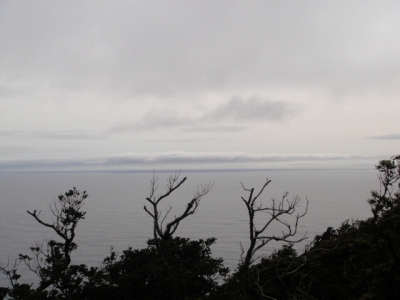 2010-4-11 038.jpg