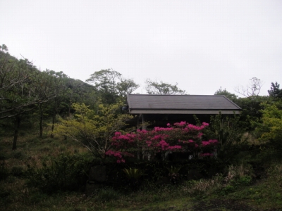 2010-4-11 046.jpg