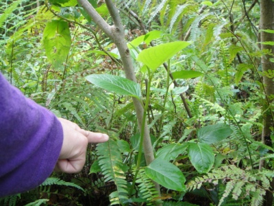 2010-4-11 050.jpg