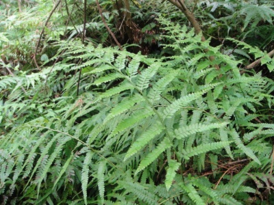 2010-4-11 055.jpg