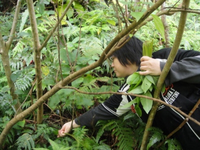 2010-4-11 059.jpg