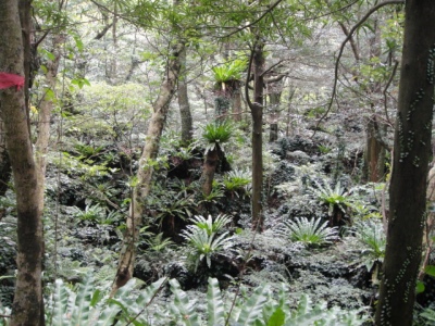 2010-4-11 065.jpg