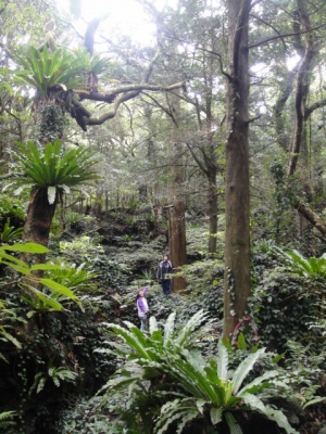 2010-4-11 069.jpg