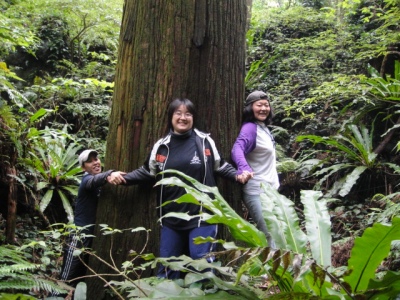 2010-4-11 089.jpg