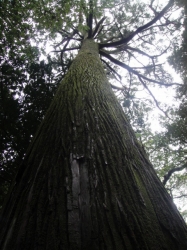2010-4-11 090.jpg