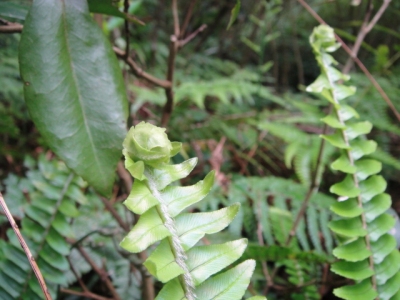2010-4-11 118.jpg