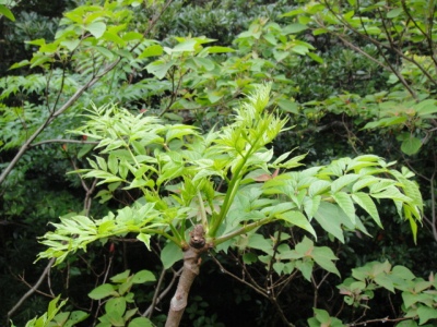 2010-4-11 122.jpg