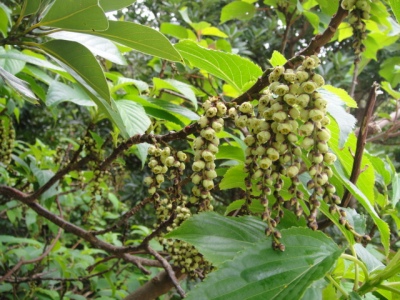 2010-4-11 123.jpg