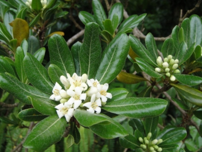 2010-4-11 128.jpg