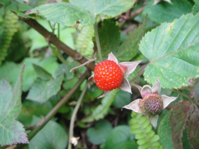 2010-4-11 131.jpg