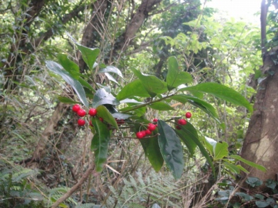 2010-4-11 134.jpg